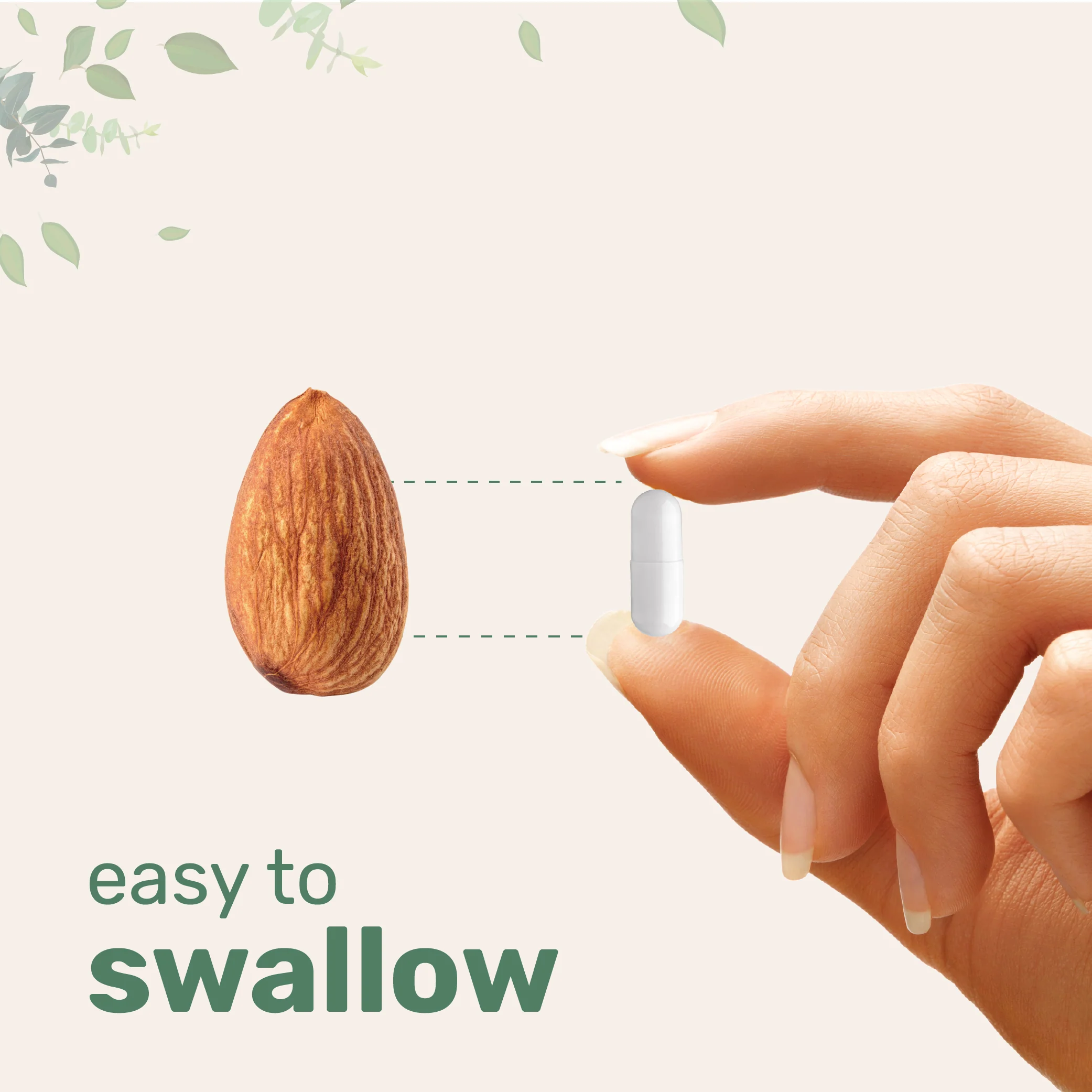 Micro Ingredients NAD+ Supplement 500mg with Resveratrol, 240 Veggie Capsules - Image 4